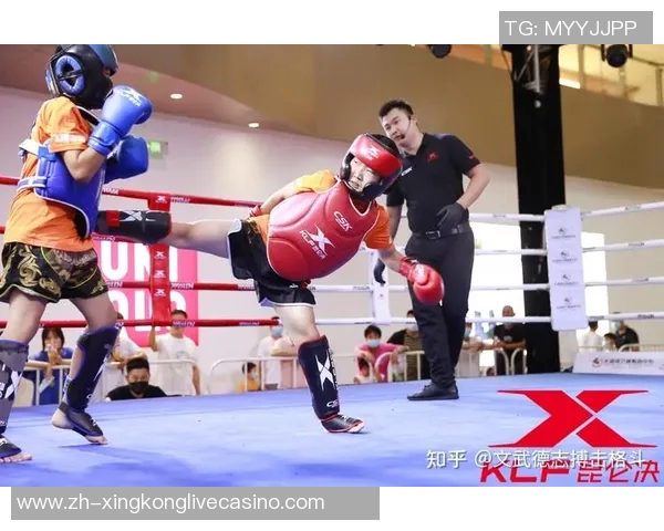 一龙与海耶斯巅峰对决谁将成为搏击界的新王者