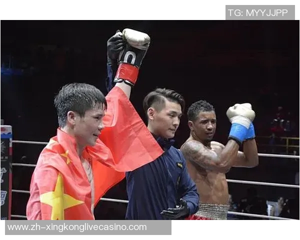 一龙与海耶斯巅峰对决谁将成为搏击界的新王者